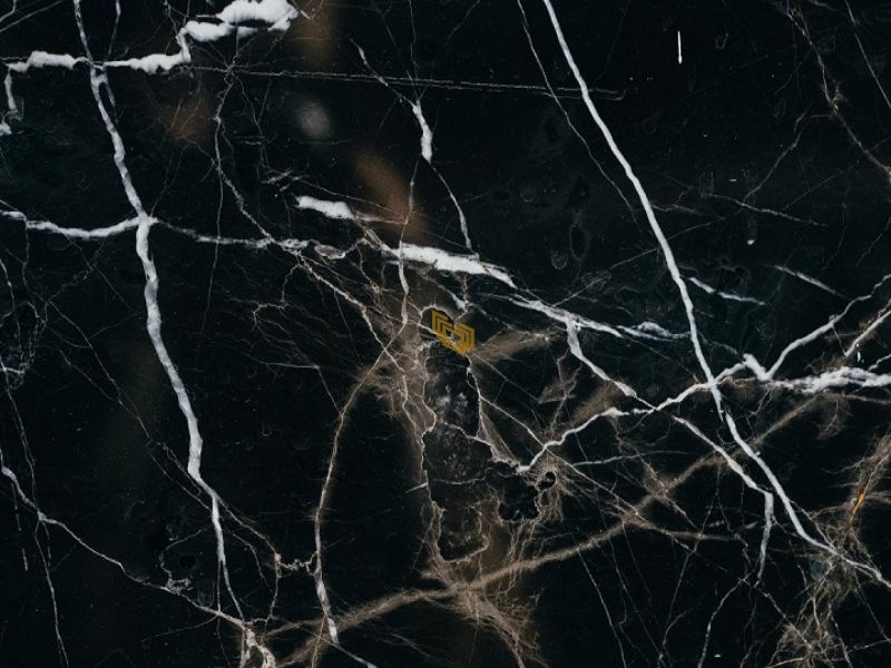 light Portoro Marble light Portoro Marble